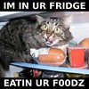 inurfridge.jpg