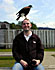 Stu's harris hawk