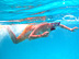 Orny snorkeling