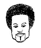* composite sketch here *