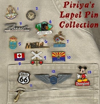Piriya's Lapel Pin Collection