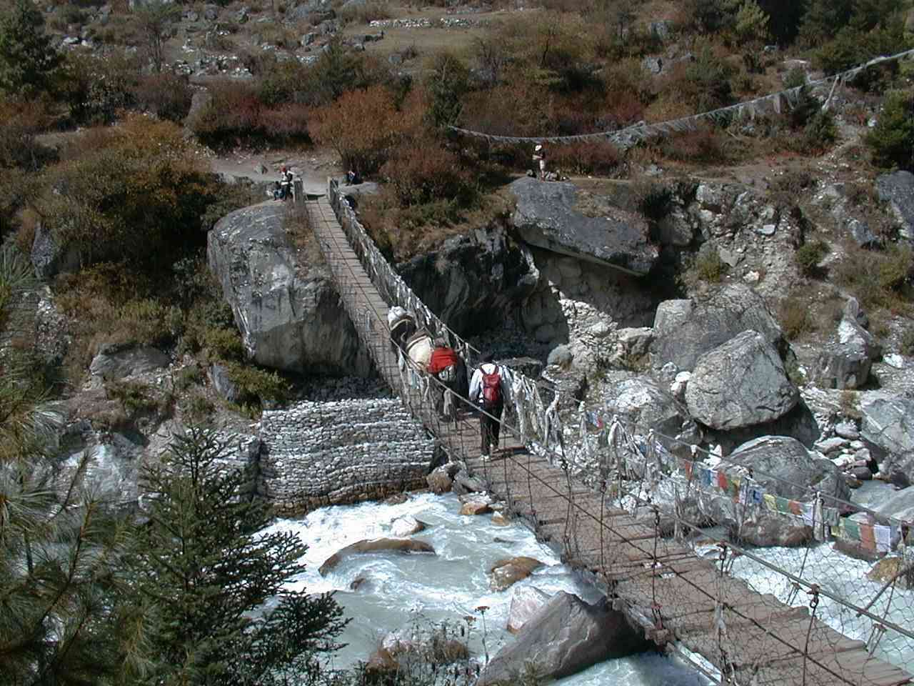 Bridge at Phunki Tenga