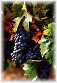 Click Photo to Go to List of Wineries
