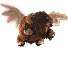 buffalo