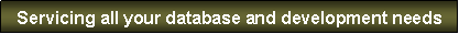 Text Box: Servicing all your database and development needs