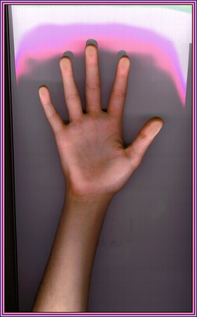 mary's hand.jpg (35333 bytes)