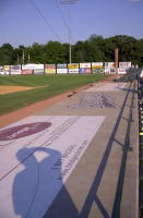 Looking over the home dugout