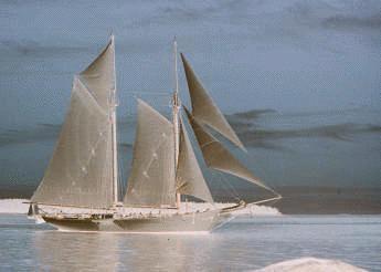 pointless without the photo...