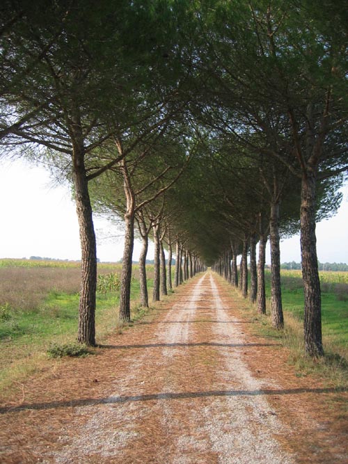 italy_tuscany_2