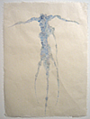 OpusII