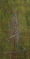 Gyre